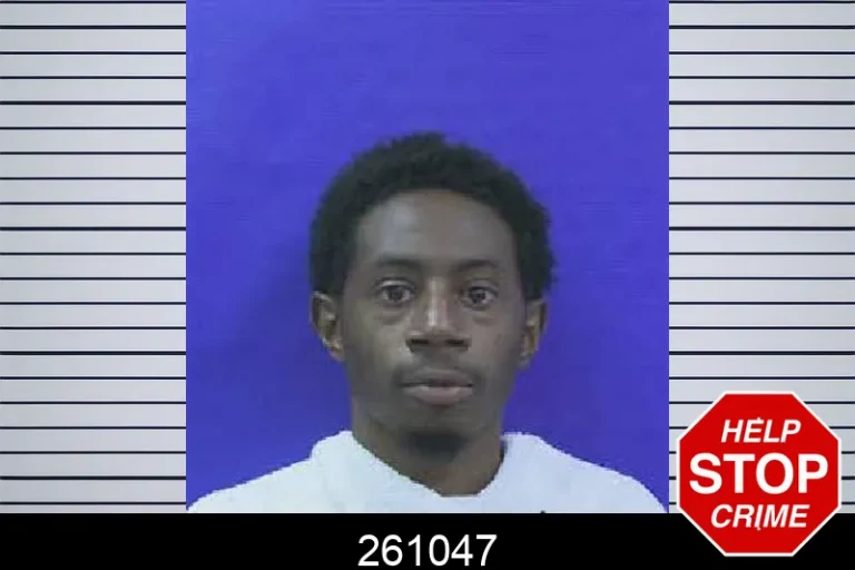 261047