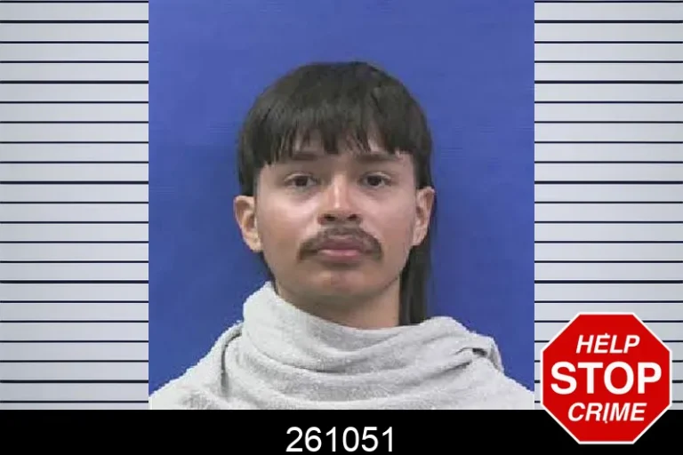 261051