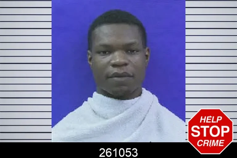 261053