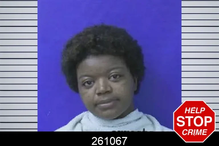 261067