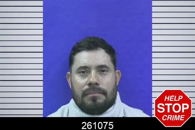 261075