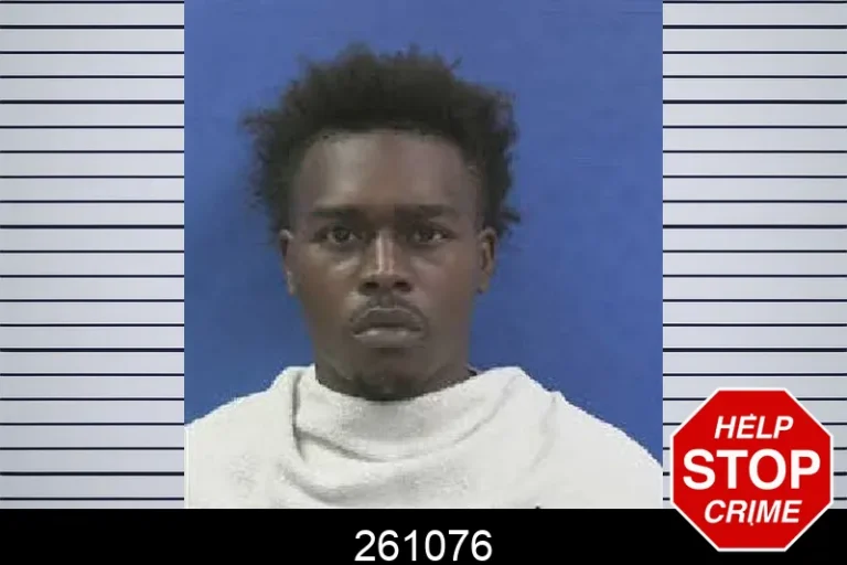 261076