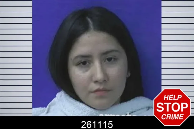 261115