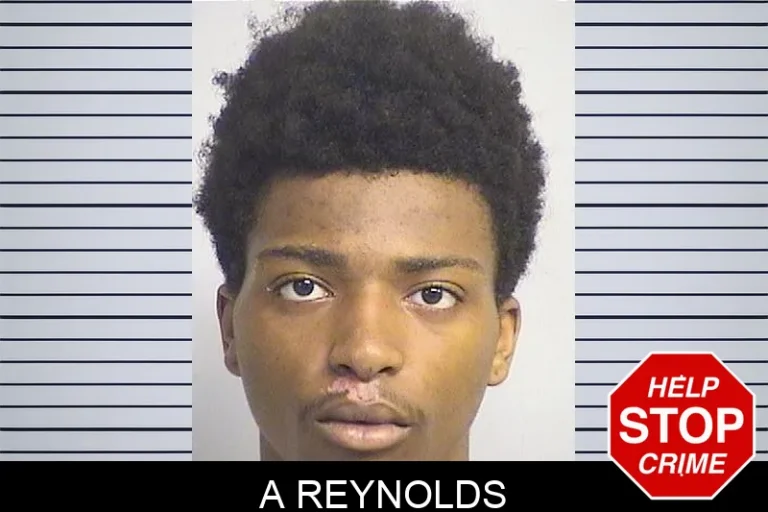 A Reynolds