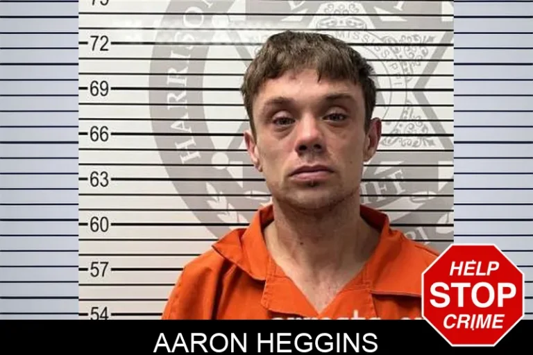 Aaron Heggins