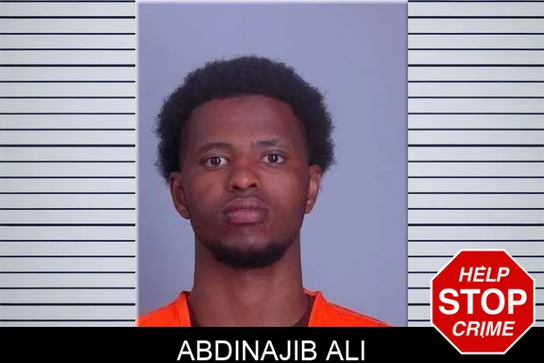 Abdinajib Ali