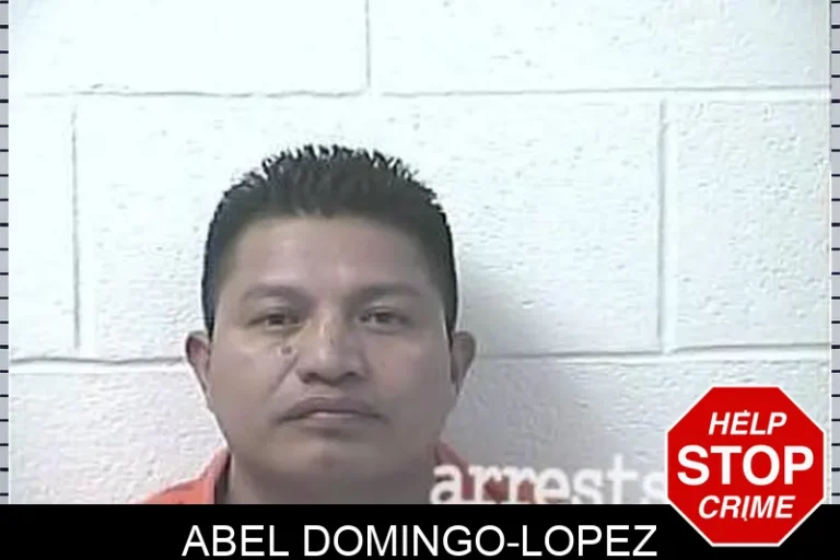 Abel Domingo-Lopez