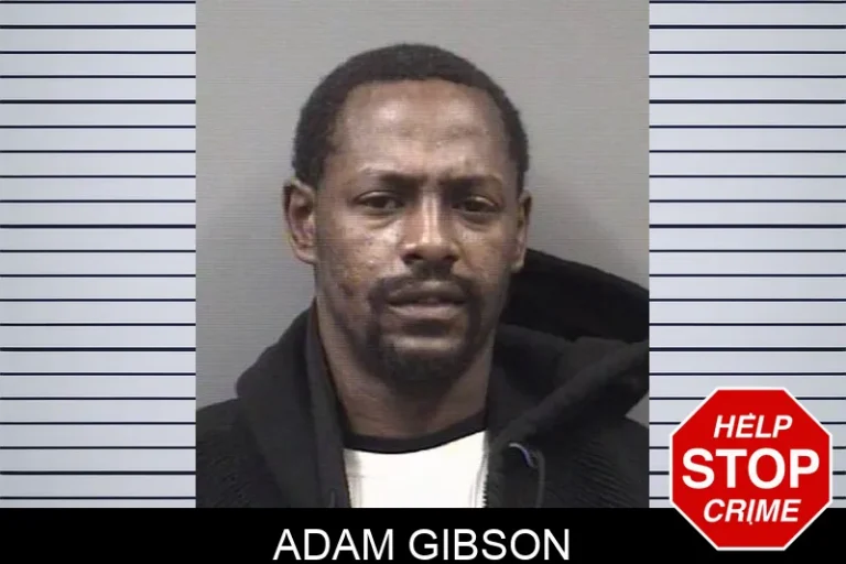 Adam Gibson