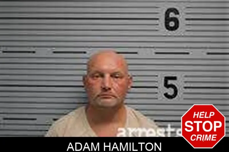 Adam Hamilton