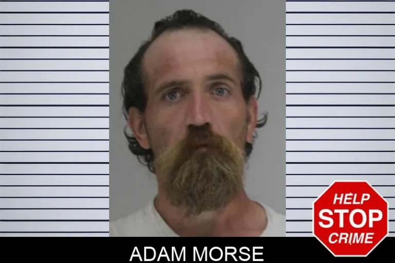 Adam Morse