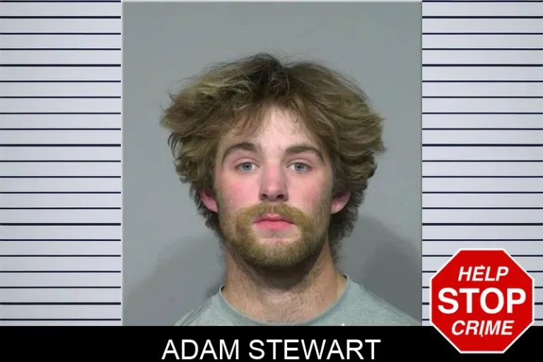 Adam Stewart