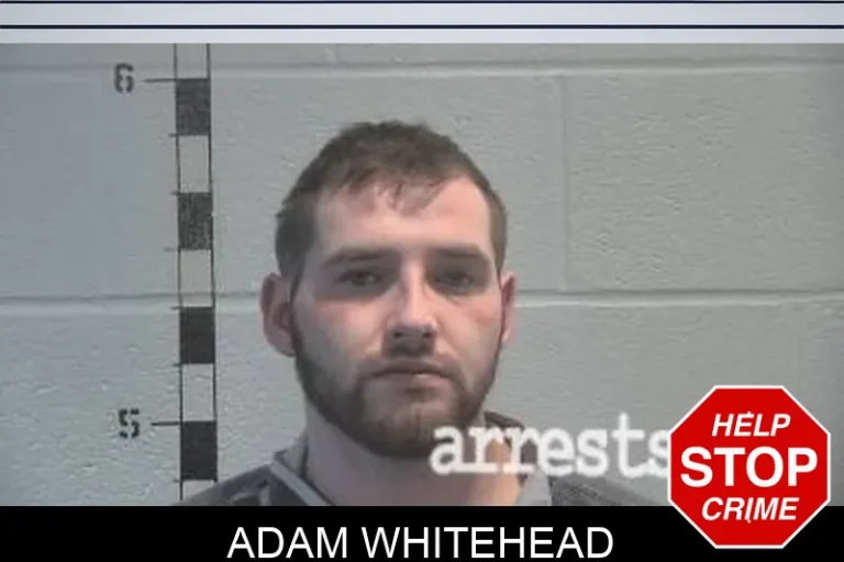 Adam Whitehead