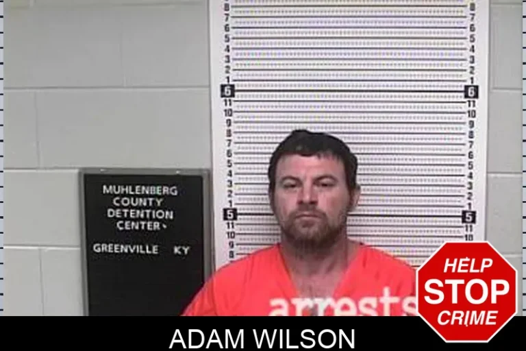 Adam Wilson