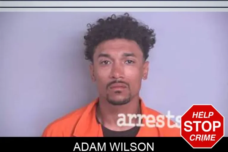 Adam Wilson