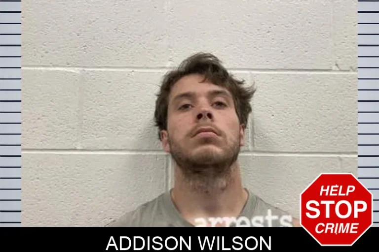 Addison Wilson