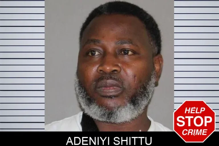 Adeniyi Shittu