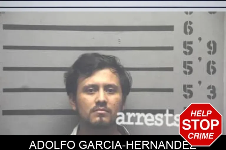 Adolfo Garcia-Hernandez