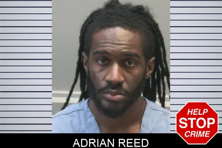 Adrian Reed