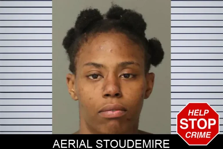 Aerial Stoudemire