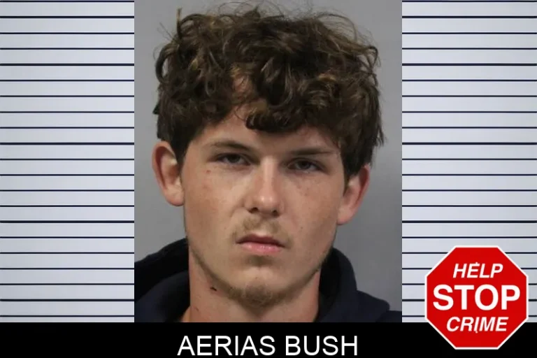 Aerias BuSh