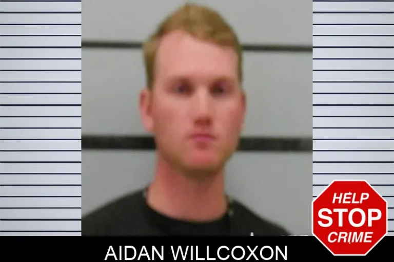 Aidan Willcoxon