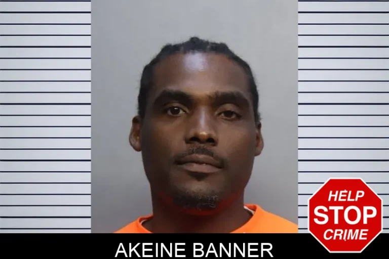 Akeine Banner