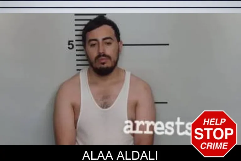 Alaa Aldali