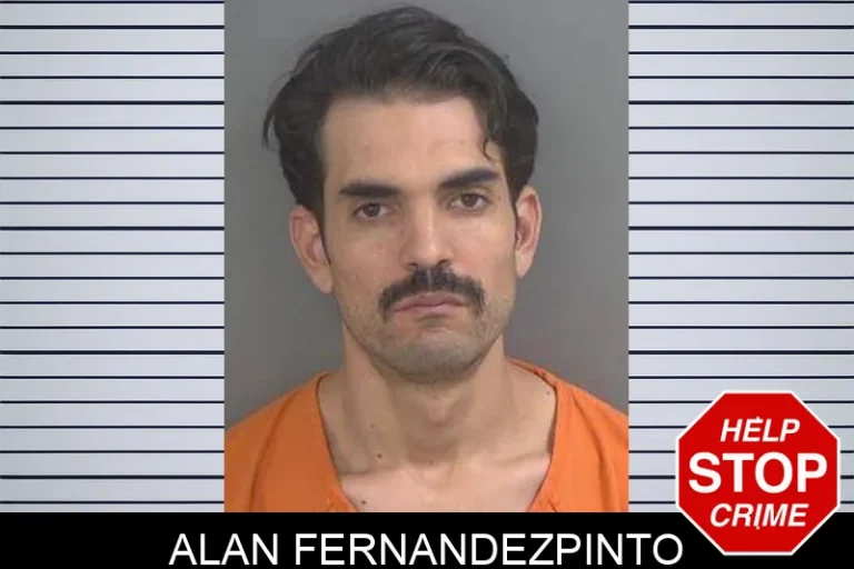 Alan Fernandezpinto