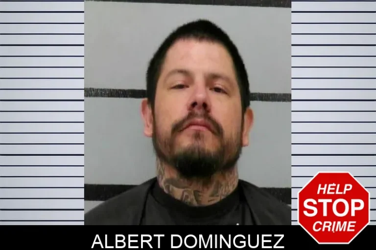 Albert Dominguez