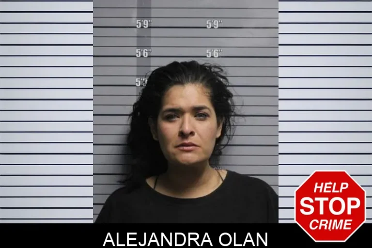 Alejandra Olan