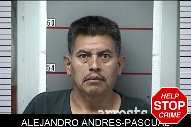 Alejandro Andres-Pascual