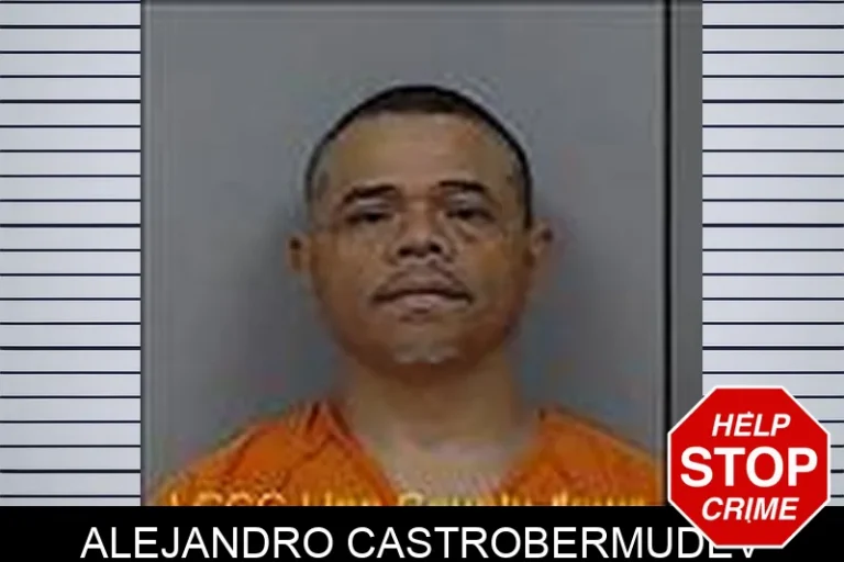 Alejandro Castrobermudev