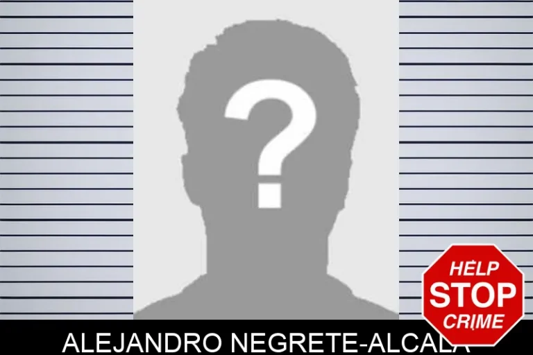 Alejandro Negrete-Alcala