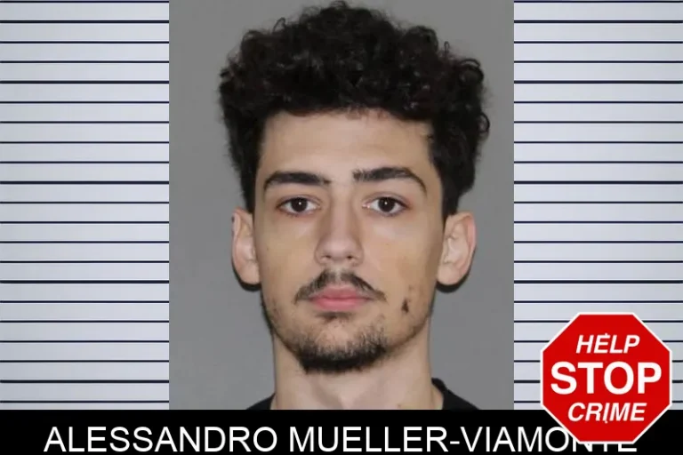 Alessandro Mueller-Viamonte