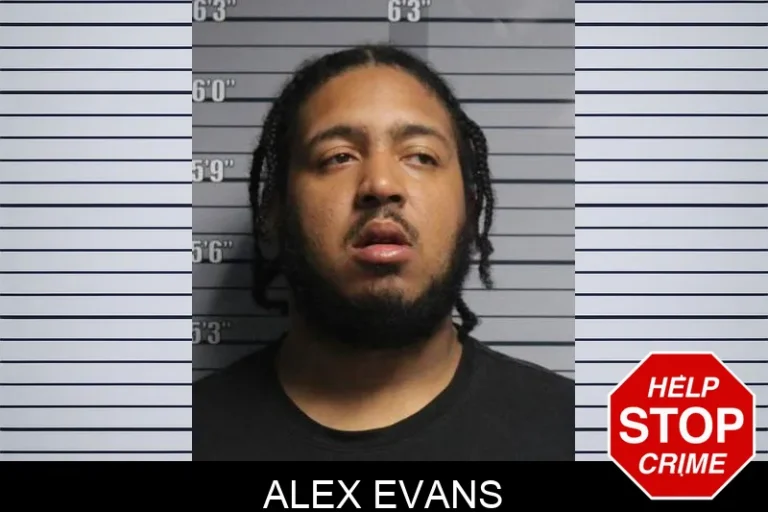 Alex Evans