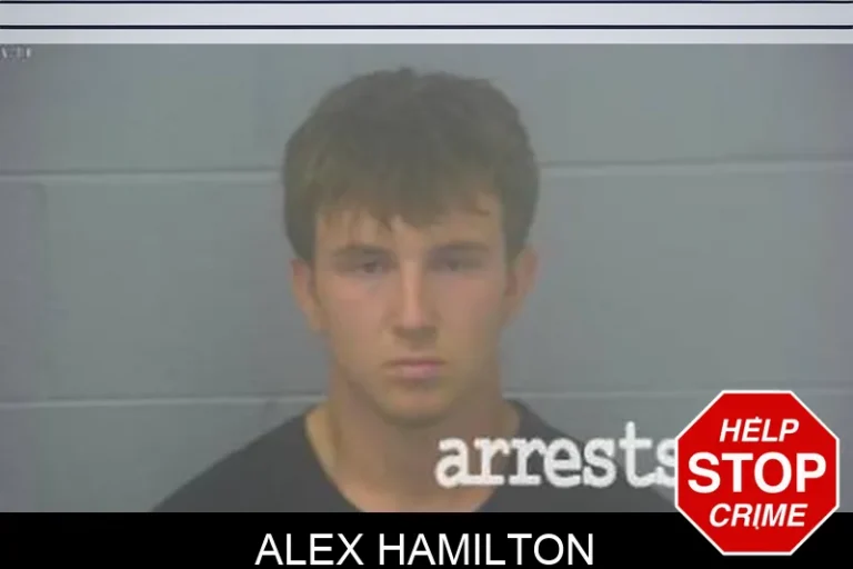 Alex Hamilton