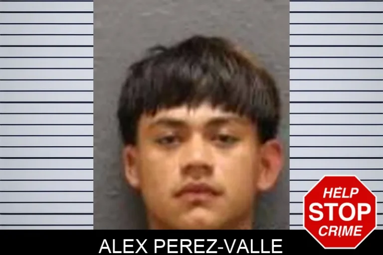 Alex Perez-Valle