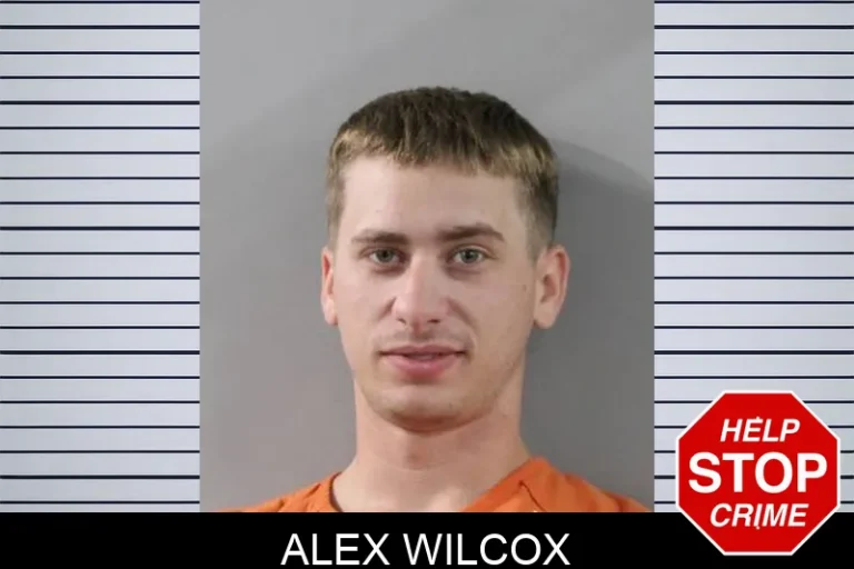 Alex Wilcox