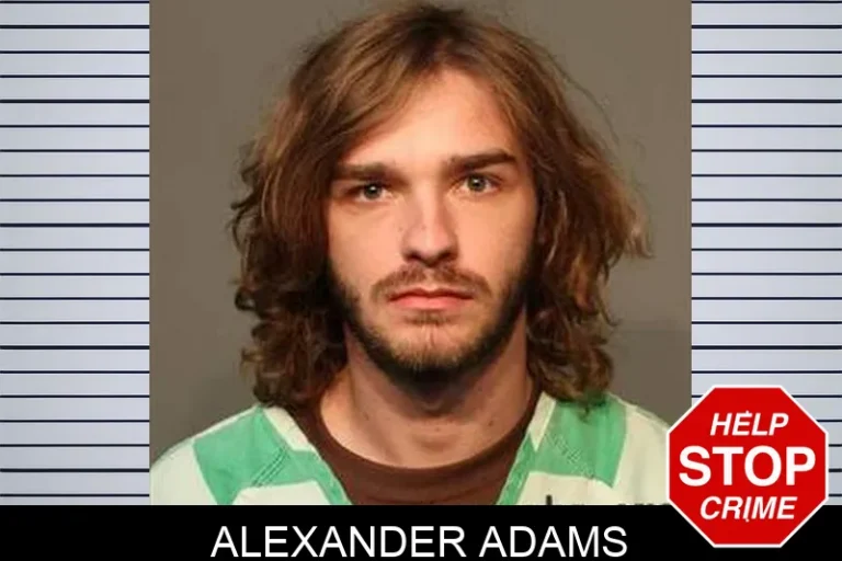 Alexander Adams