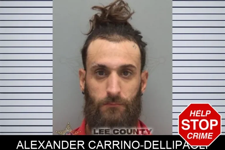 Alexander Carrino-Dellipaoli