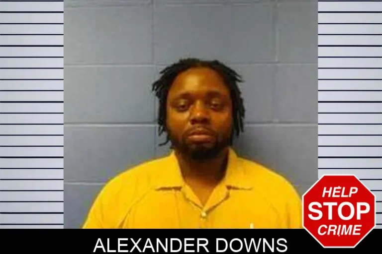 Alexander Downs