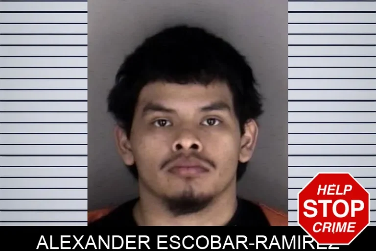Alexander Escobar-Ramirez