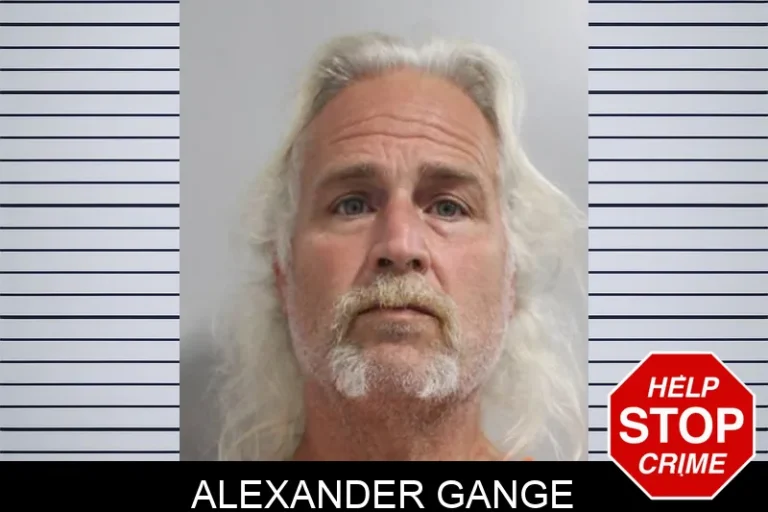 Alexander Gange