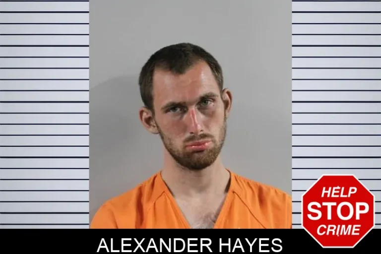 Alexander Hayes