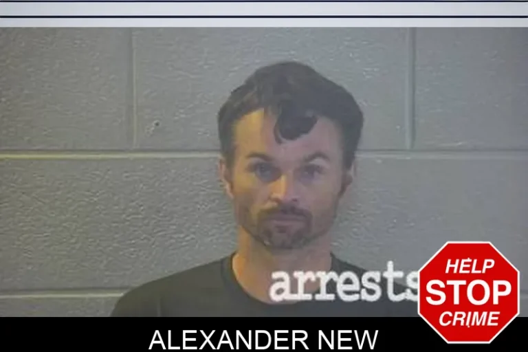 Alexander New