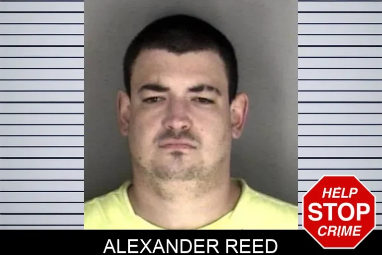 Alexander Reed