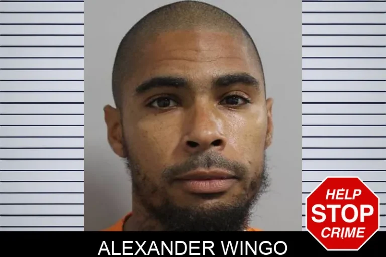Alexander Wingo
