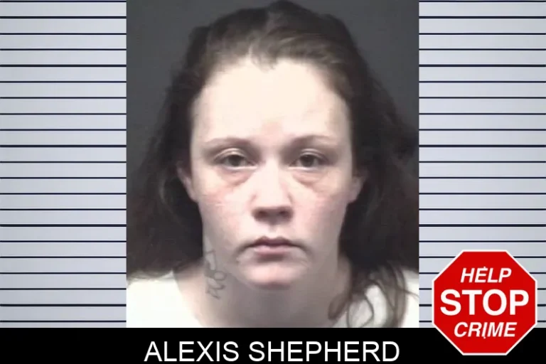 Alexis Shepherd