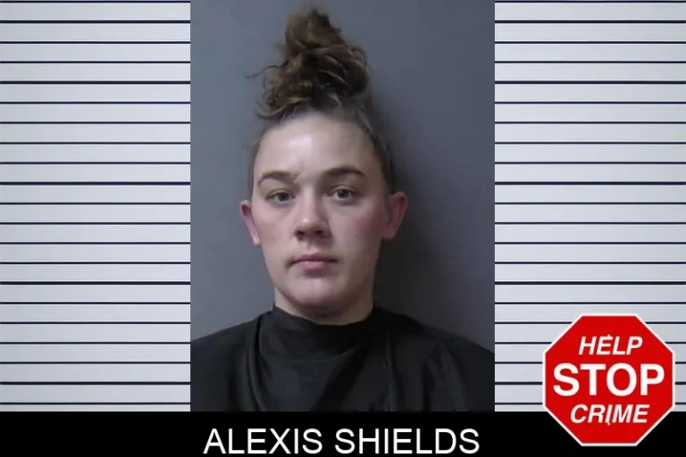 Alexis Shields