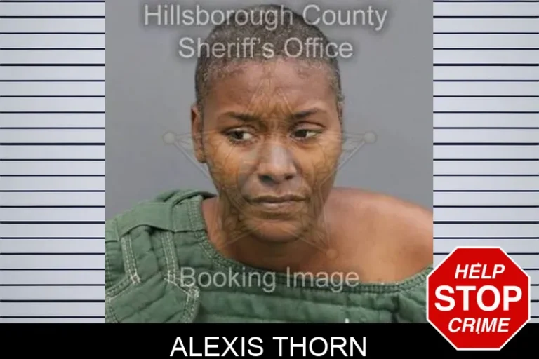 Alexis Thorn